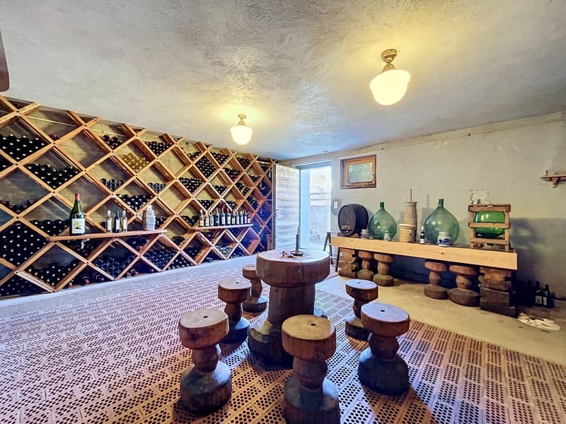 Grande maison avec 2 appartements et vaste garage (12)