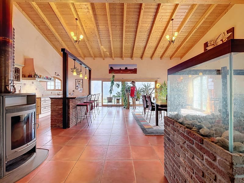 Élégante villa contemporaine (4)