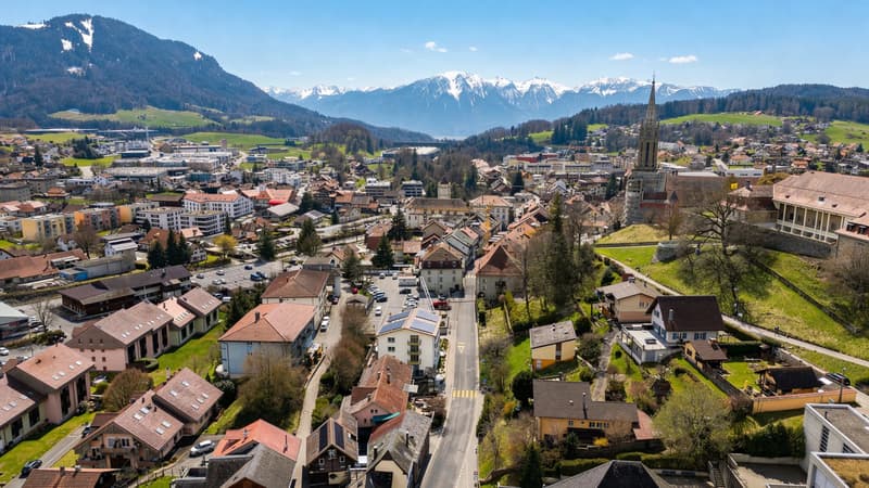 Harmonie - Posizione ideale a Châtel-Saint-Denis (7)