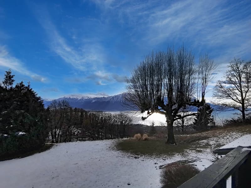 Domain in the heart of nature with a view! (6)