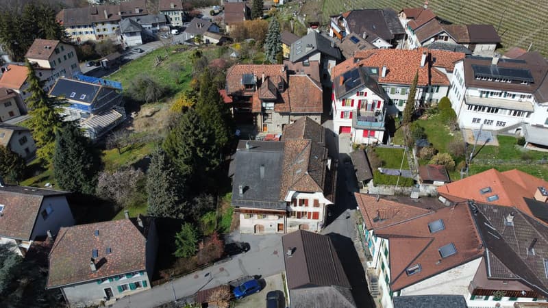 Casa da ristrutturare in ambiente tranquillo (2)