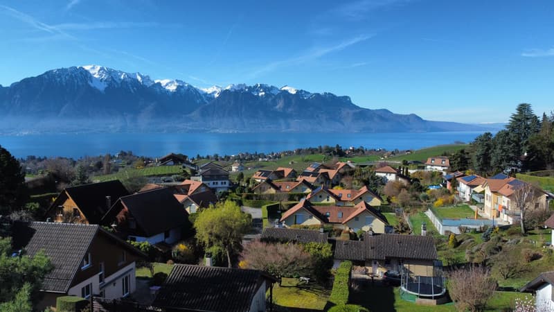 Tranquillità e vista sul Lago di Ginevra! (2)