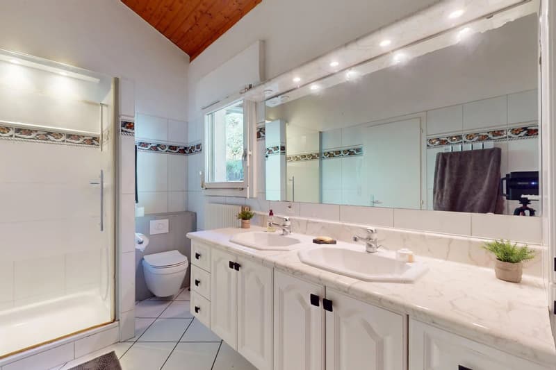 Tranquillità e vista sul Lago di Ginevra! (6)