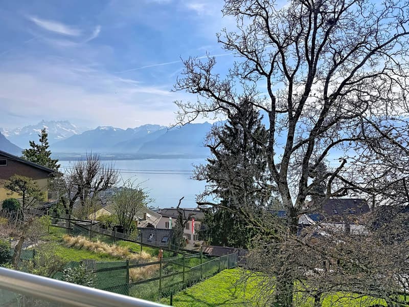 Situation idéale et vue Lac ! (9)