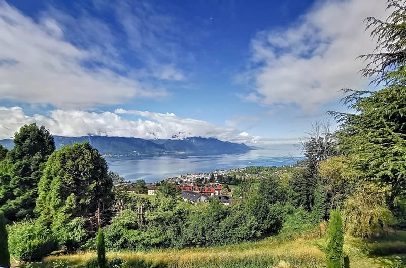 Magnificent individual villa with a view of Lake Geneva! (4)