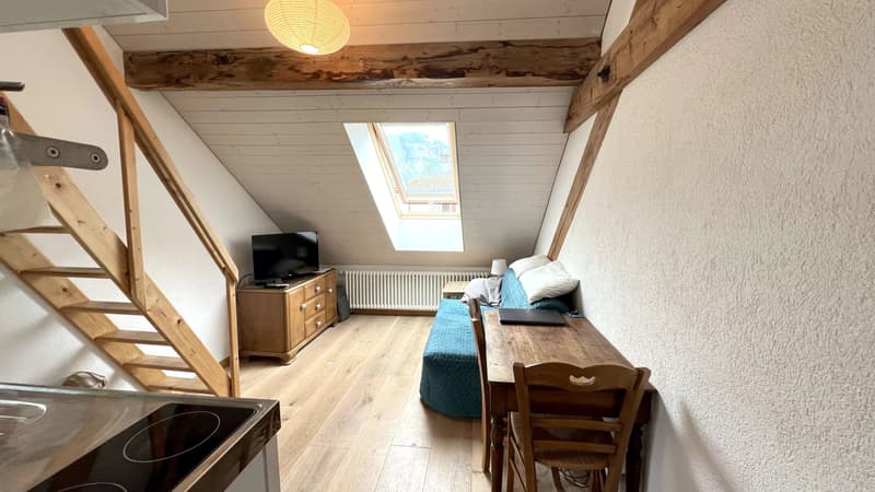 House for sale with rental income potential (10)