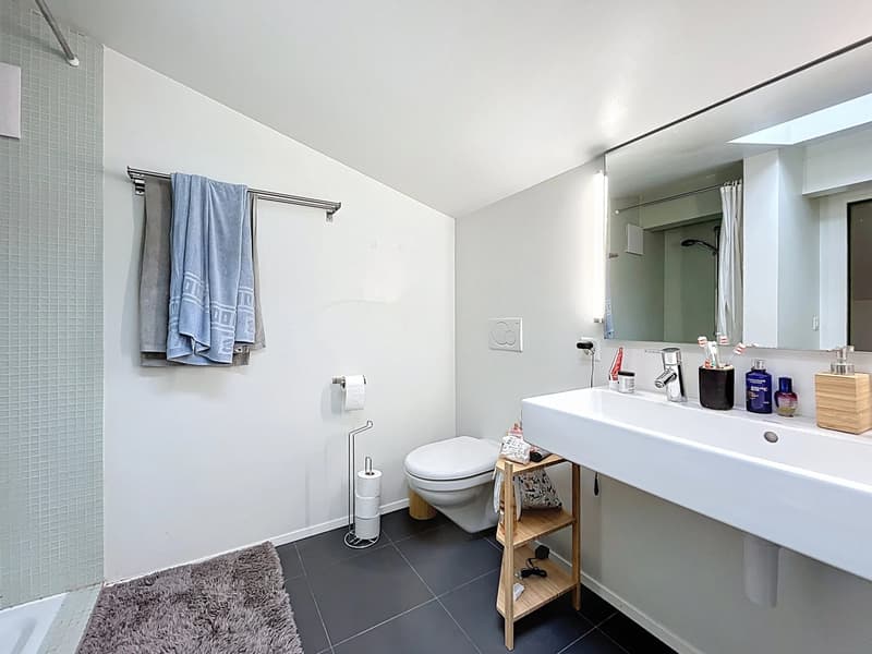 Charming 5.5-room duplex! (10)