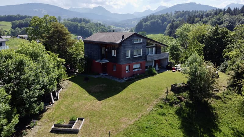 House with two apartments (1)