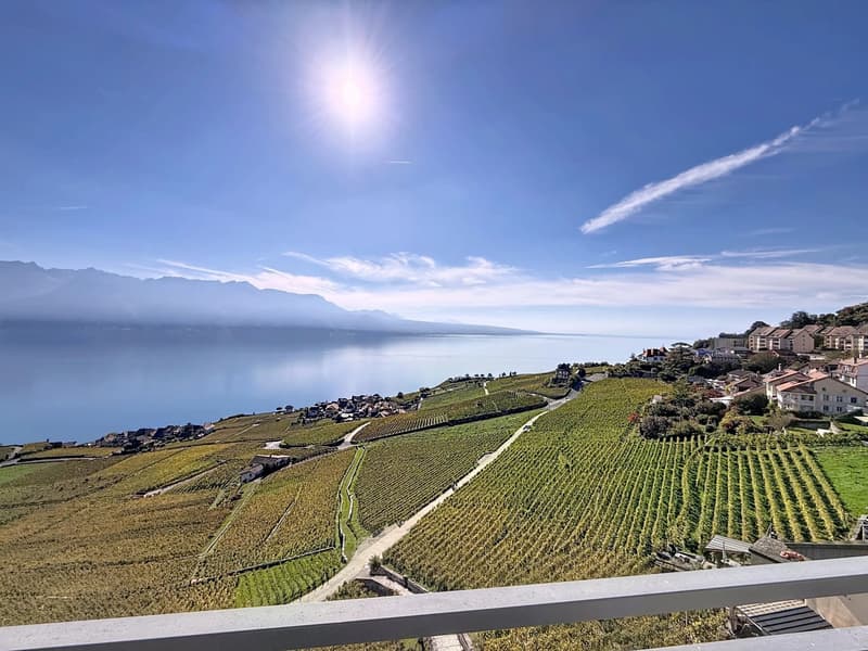 Village house with unparalleled views of Lavaux and Lake Geneva! (1)