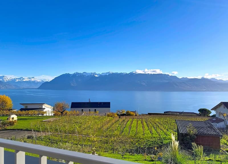 Grandvaux! Spectacular view of the Lake! (1)