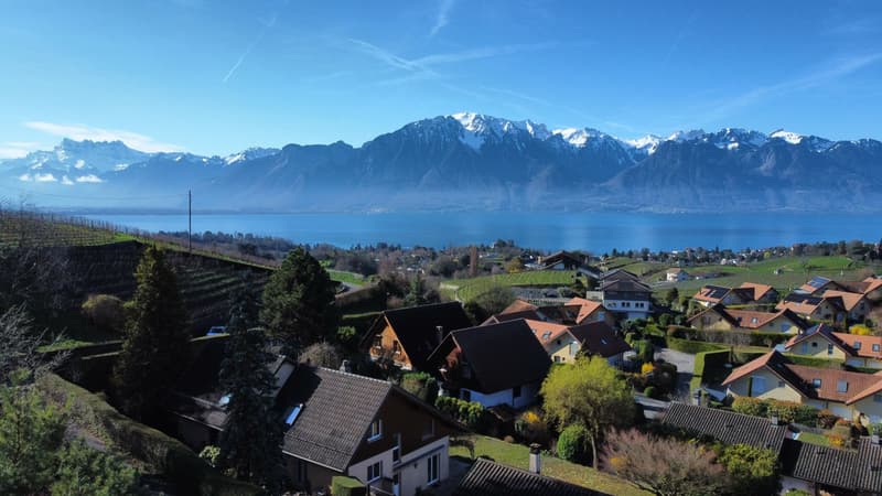 Tranquility and view of Lake Geneva! (1)