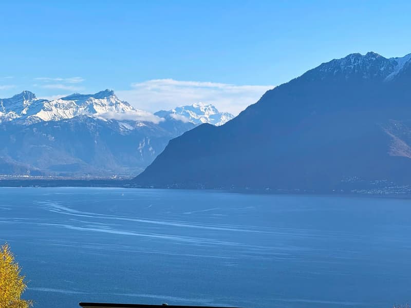 Grandvaux ! Vue spectaculaire sur le Lac ! (9)