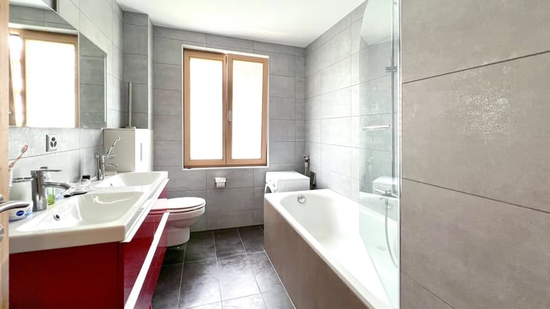 Maison à vendre avec potentiel de rendement locatif (7)