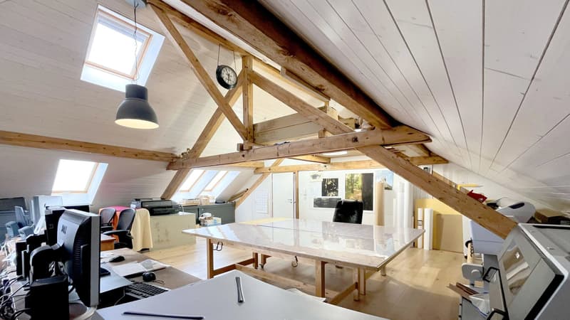 Maison à vendre avec potentiel de rendement locatif (9)