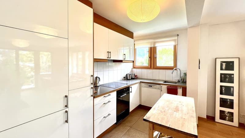 Maison à vendre avec potentiel de rendement locatif (5)