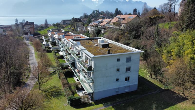 La calma e la natura in città (2)