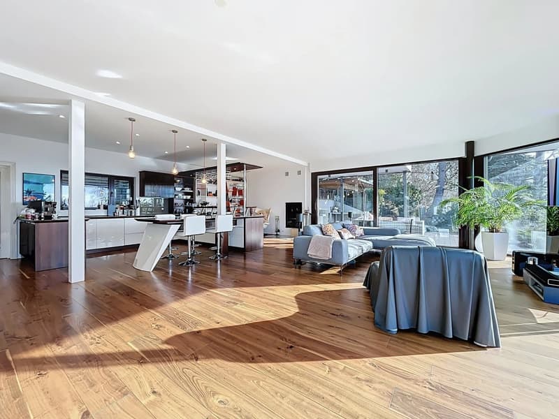Exceptional villa with a view of Lake Geneva (3)
