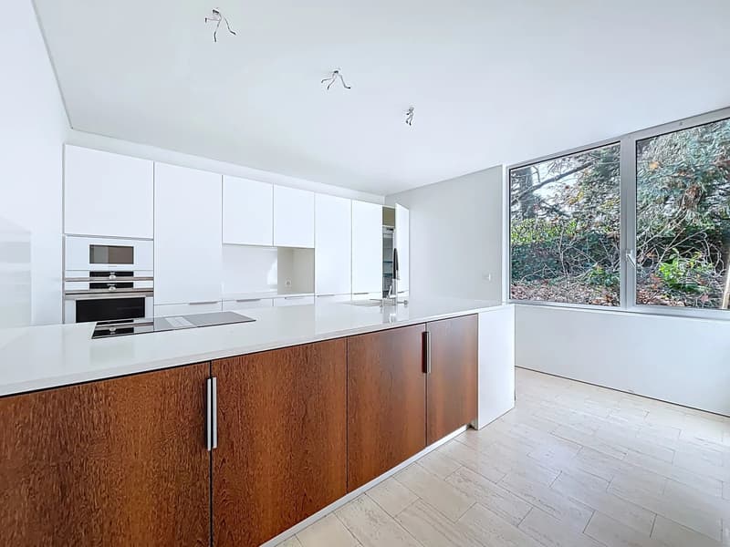 Modular family property with 3 apartments (10)