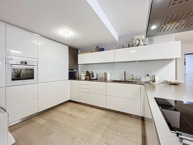 4.5 room apartment in the city center (6)