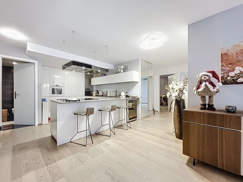 4.5 room apartment in the city center (5)