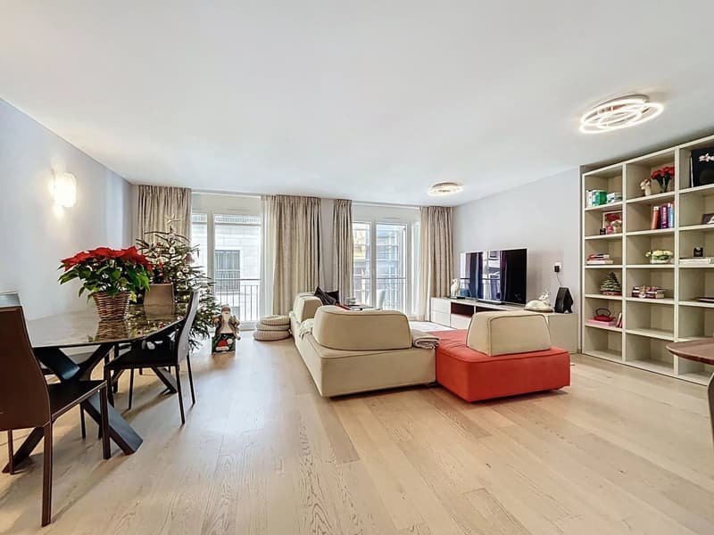 4.5 room apartment in the city center (2)