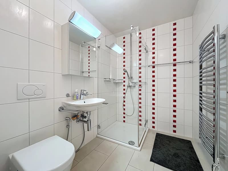 Spacious 4.5 room apartment in modern residence with balcony and terrace (10)