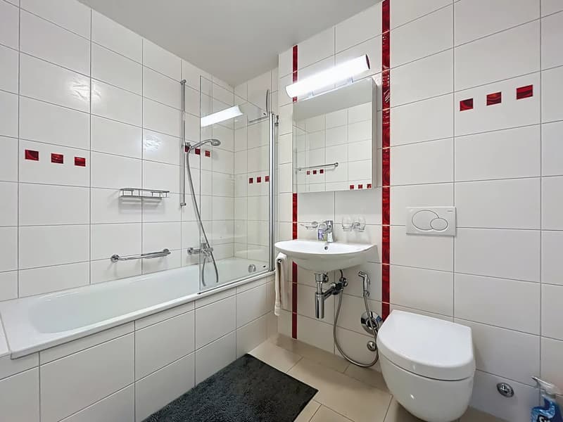 Spacious 4.5 room apartment in modern residence with balcony and terrace (7)
