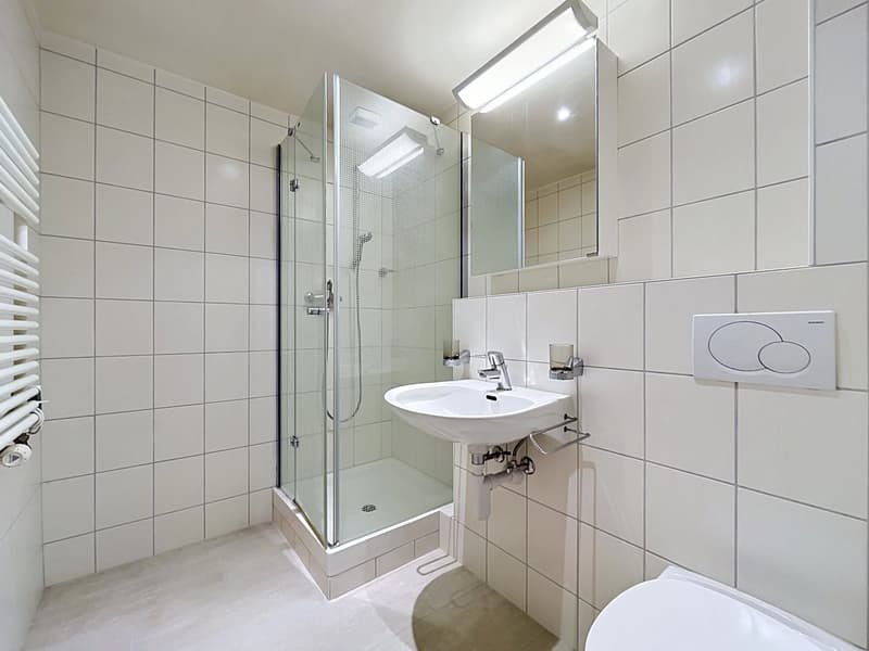 House in a quiet location with garden and lake view (12)