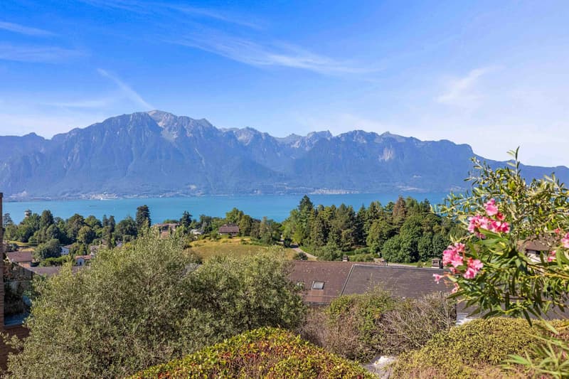 Magnifique appartement avec vue imprenable sur le la (7)