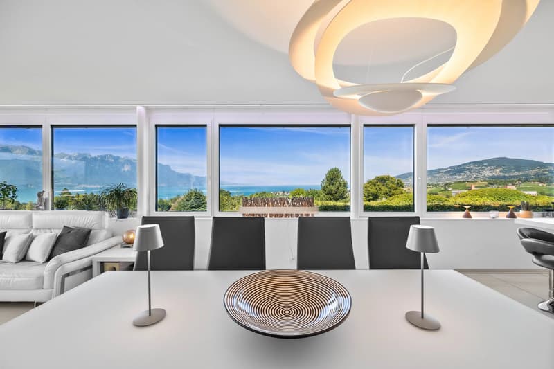 Magnifique appartement avec vue imprenable sur le la (2)