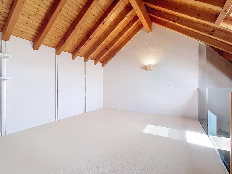 4.5 pièces avec mezzanine (5)