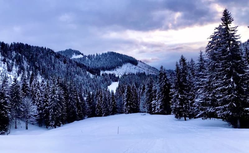 Vivre la montagne aux Paccots ! (5)