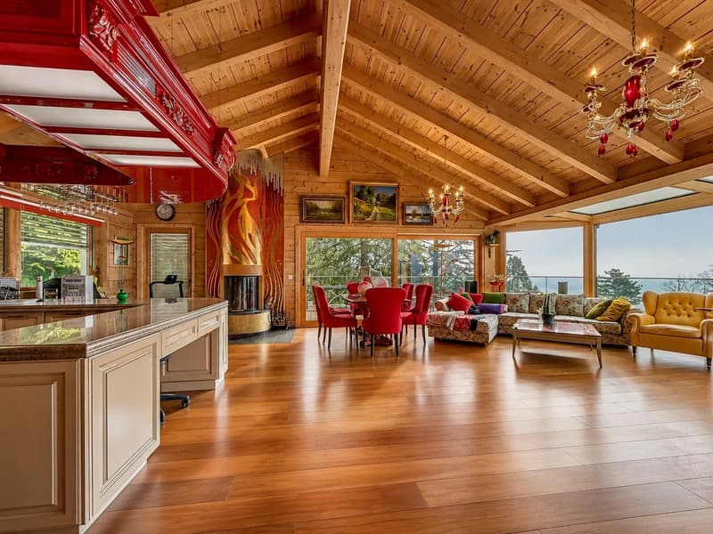 Villa d'exception avec vue sur le lac Léman (7)
