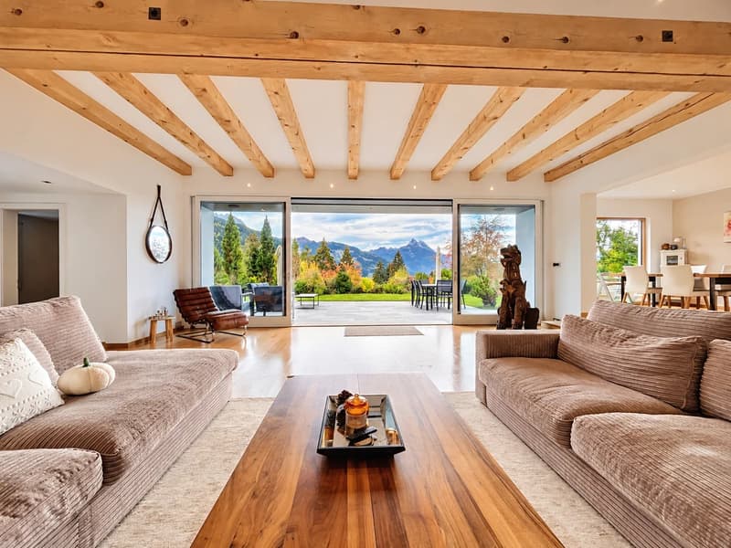 Chalet avec une vue imprenable et potentiel exceptionnel (1)