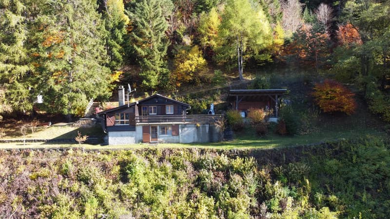 Haven of peace in nature (10)