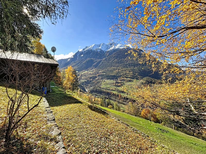 Haven of peace in nature (9)
