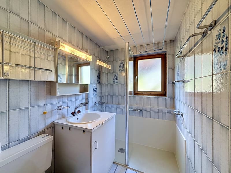 Chalet mit großem Renovierungspotenzial (8)