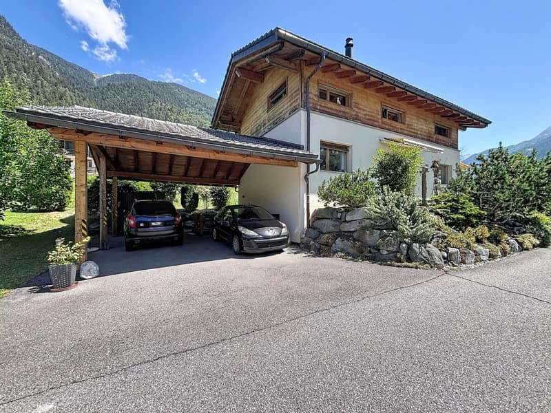 Magnifique villa-chalet familiale avec jardin et terrasse ensoleillée (10)
