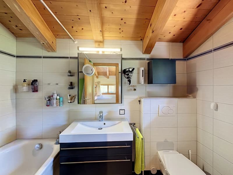 Magnifique villa-chalet familiale avec jardin et terrasse ensoleillée (7)
