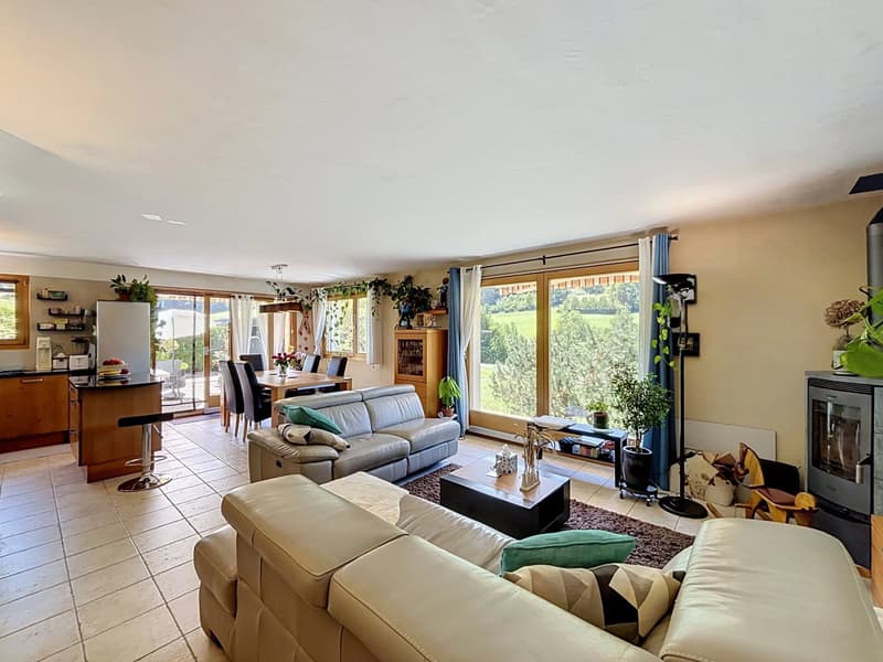 Magnifique villa-chalet familiale avec jardin et terrasse ensoleillée (4)