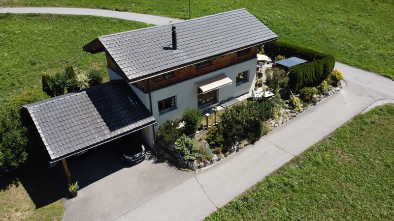 Magnifique villa-chalet familiale avec jardin et terrasse ensoleillée (11)