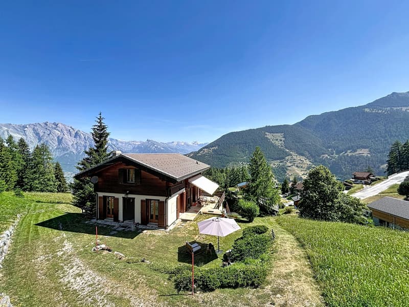 Chalet mit atemberaubendem Blick (1)