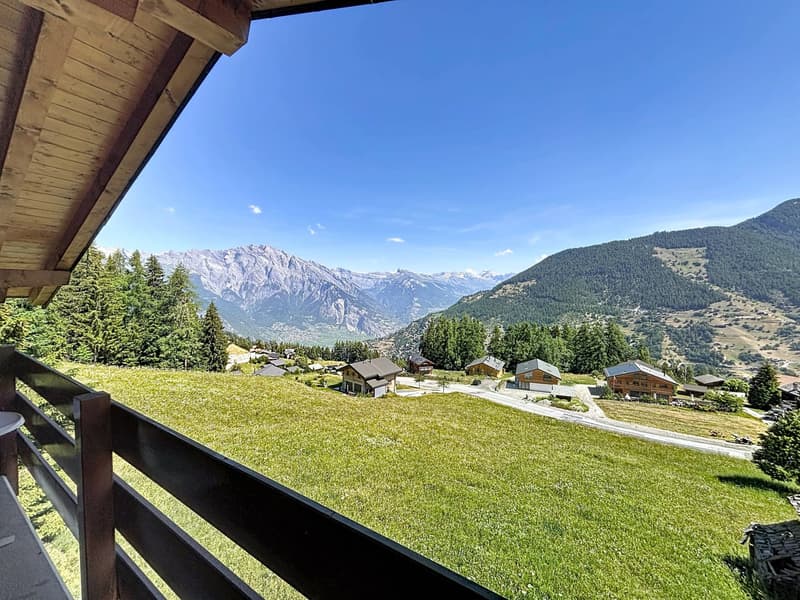 Chalet mit atemberaubendem Blick (10)