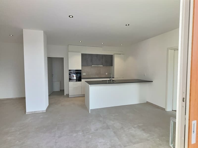 24 29 Magnifique appartement de 4.5 pièces au rez - Grande terrasse (4)