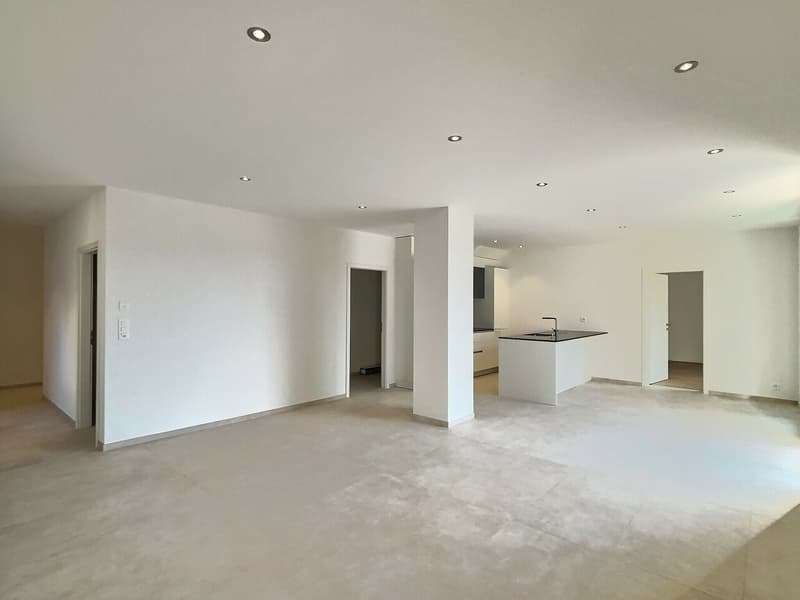 24 29 Magnifique appartement de 4.5 pièces au rez - Grande terrasse (3)