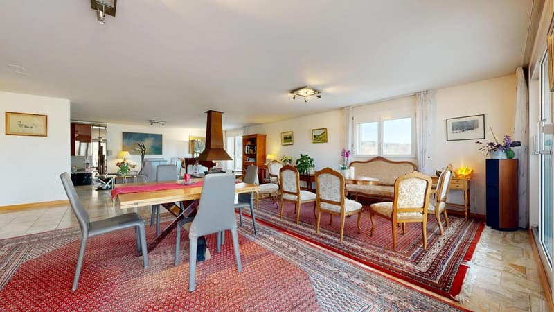 26 05 Appartement d'exception avec terrasse panoramique (7)