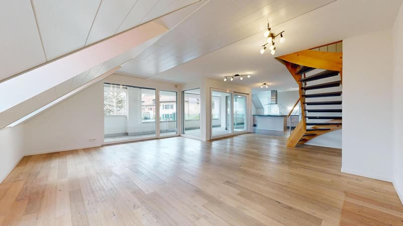 25 33 Magnifique attique en duplex avec terrasse (5)