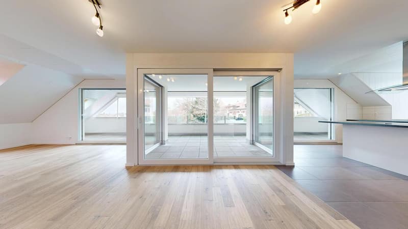 25 33 Magnifique attique en duplex avec terrasse (11)