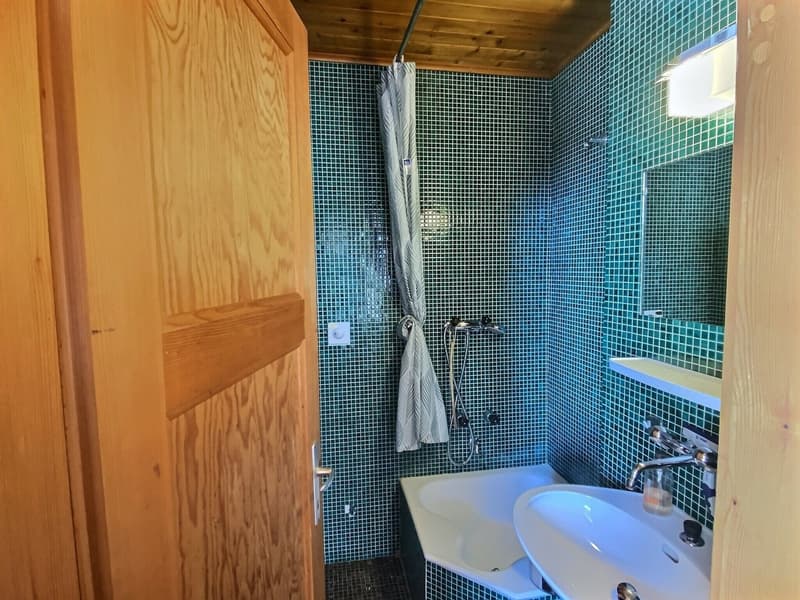 Chalet spacieux sur belle parcelle verdoyante à plat (3)