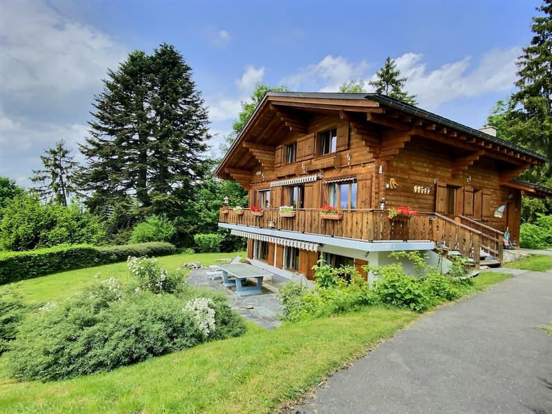 Magnifique chalet dans un écrin de verdure (5)